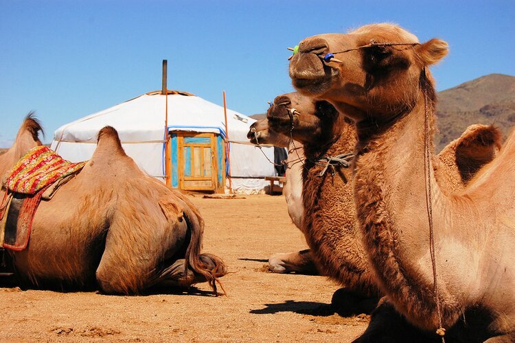 Désert du Gobi