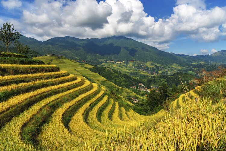 Réfléchissez au moment de votre voyage en Chine