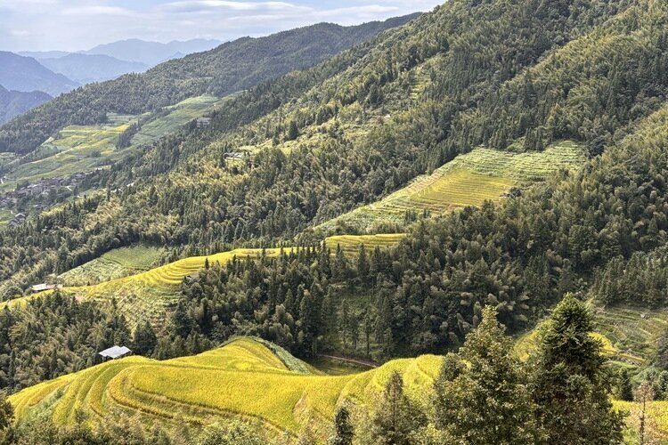 Rizières en terrasses de Longsheng